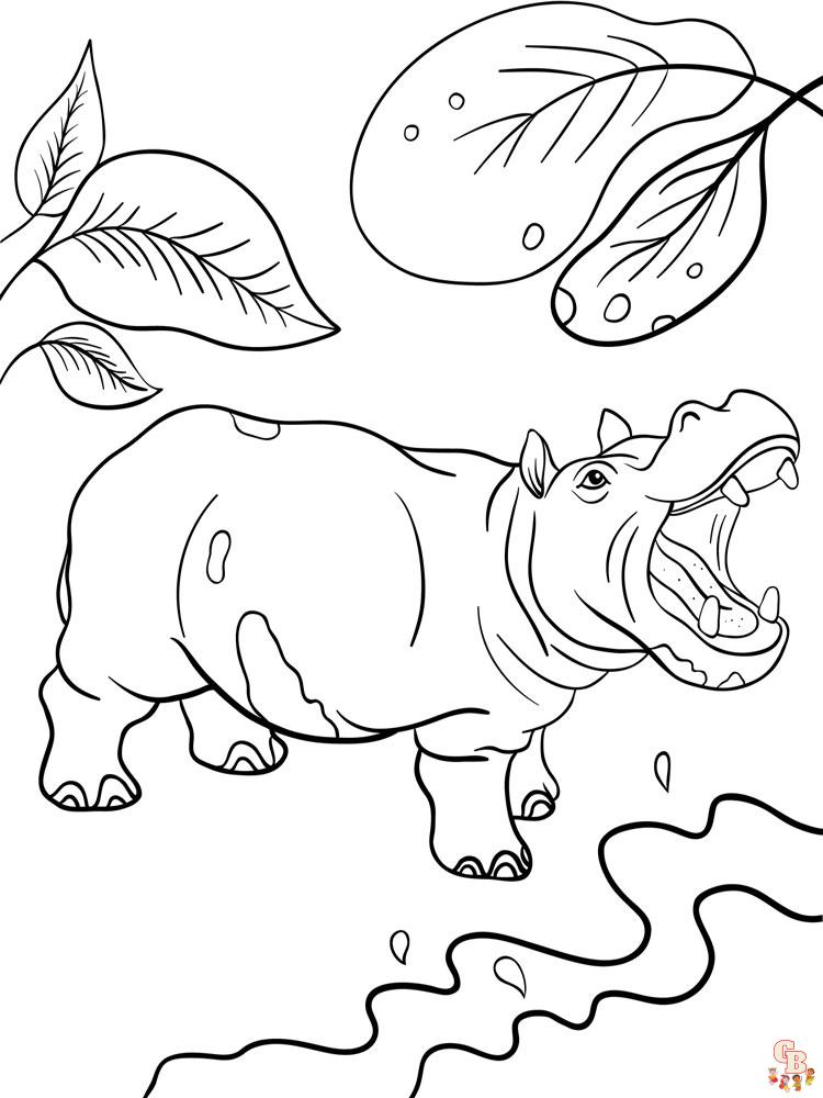 coloriage hippopotame