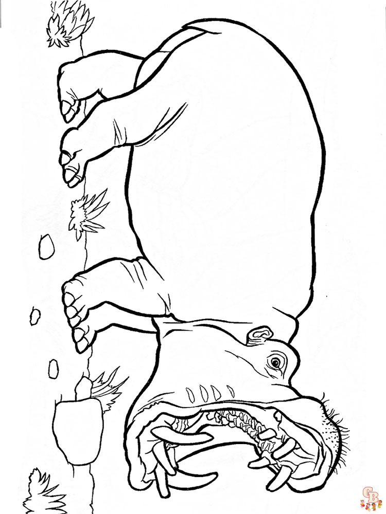 coloriage hippopotame