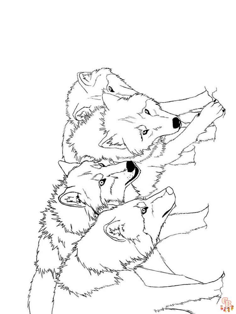 coloriage loups