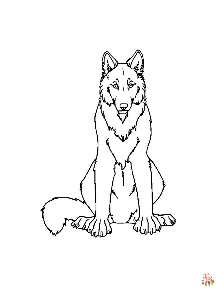 coloriage loups