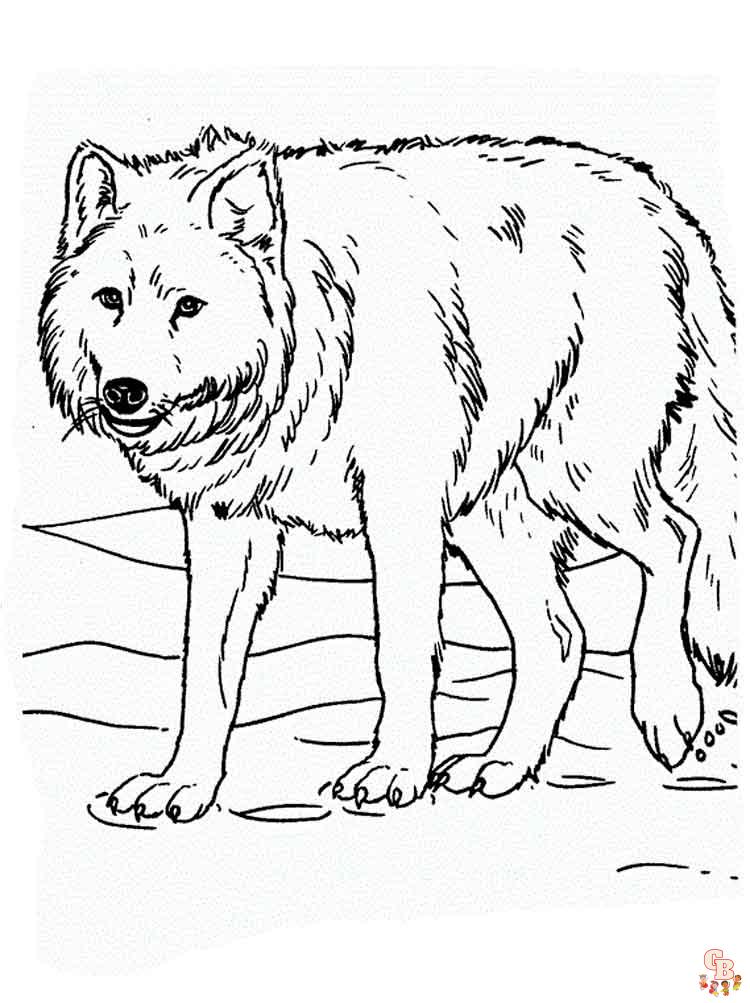 coloriage loups