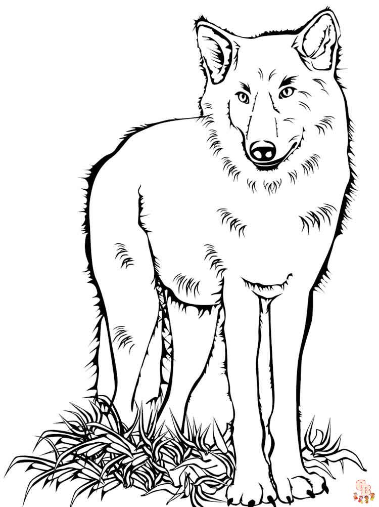 coloriage loups