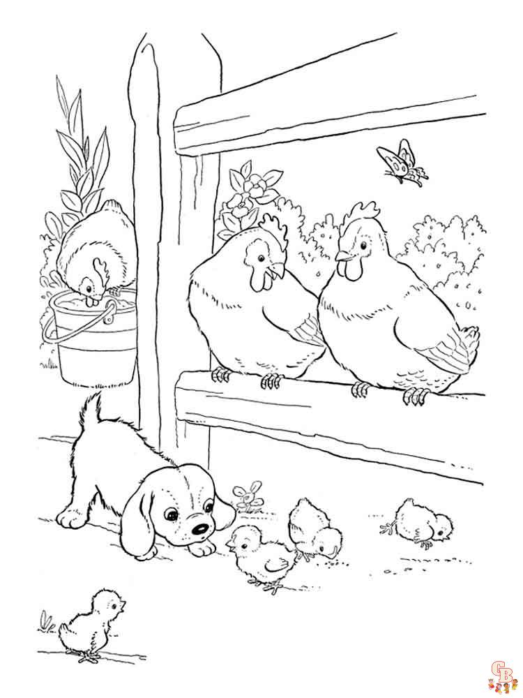 coloriage poulet