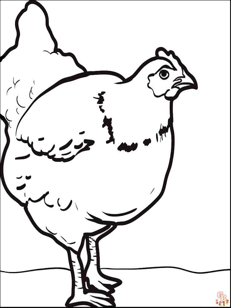 coloriage poulet