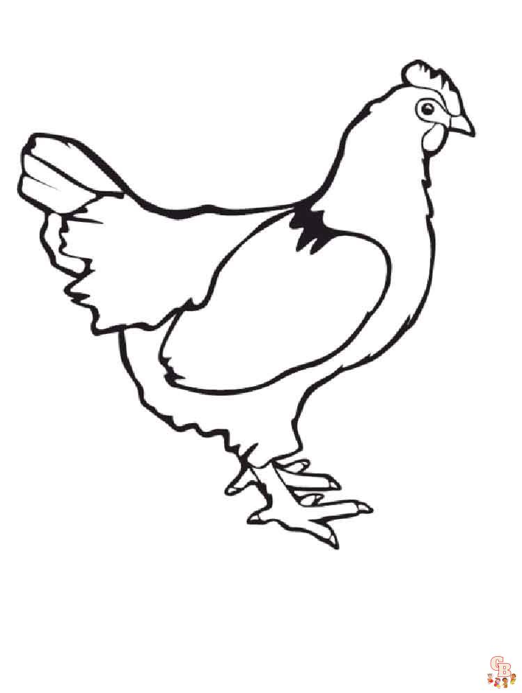 coloriage poulet