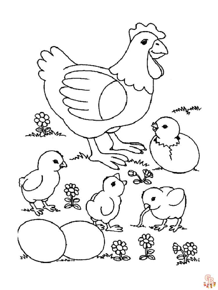 coloriage poulet