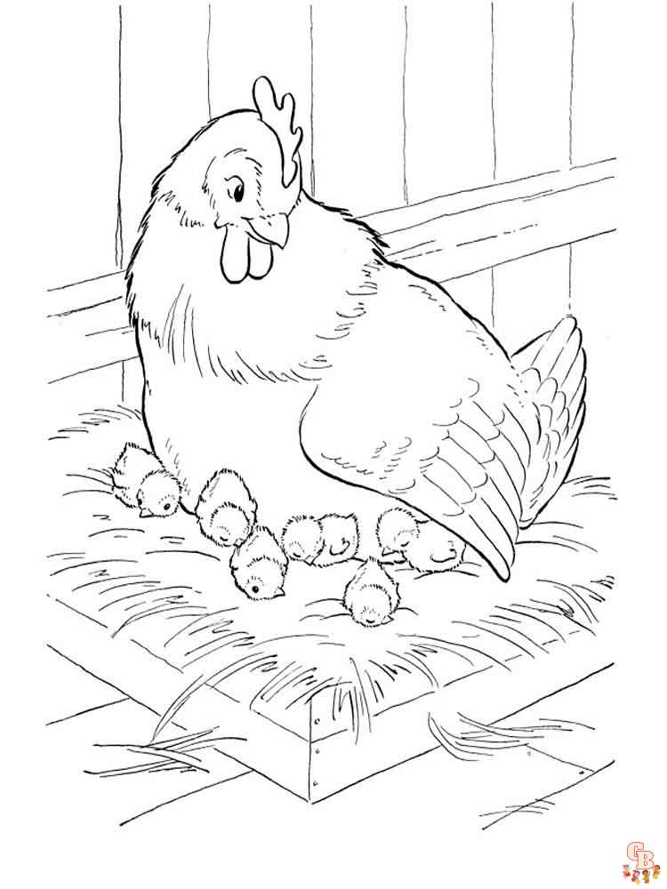 coloriage poulet