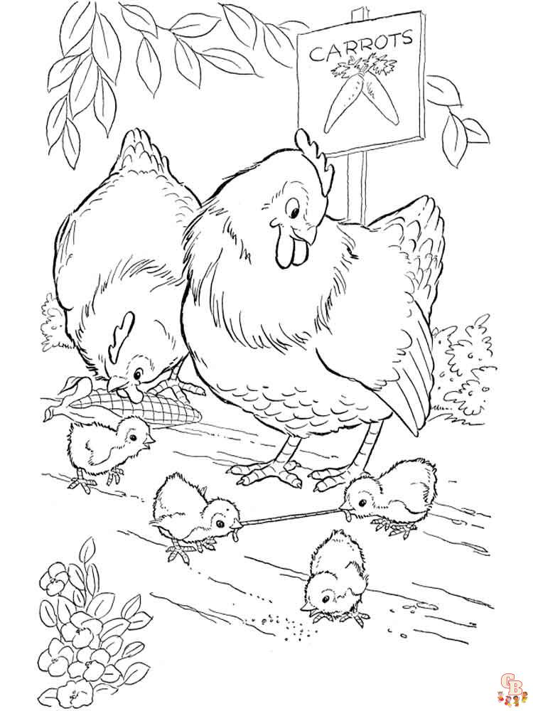 coloriage poulet