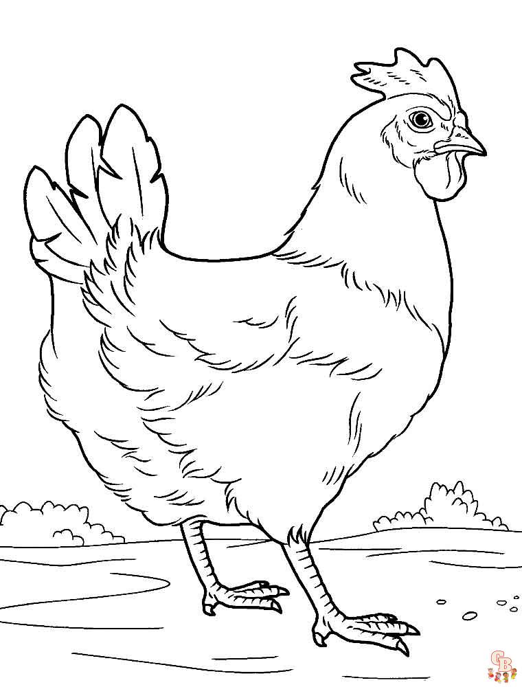 coloriage poulet