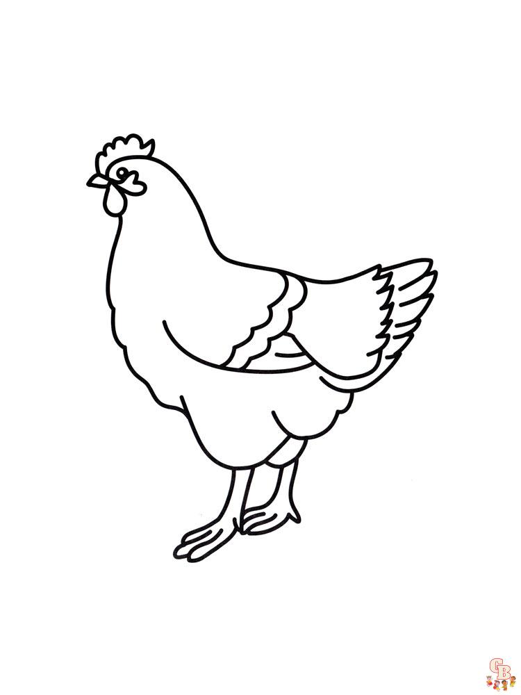 coloriage poulet