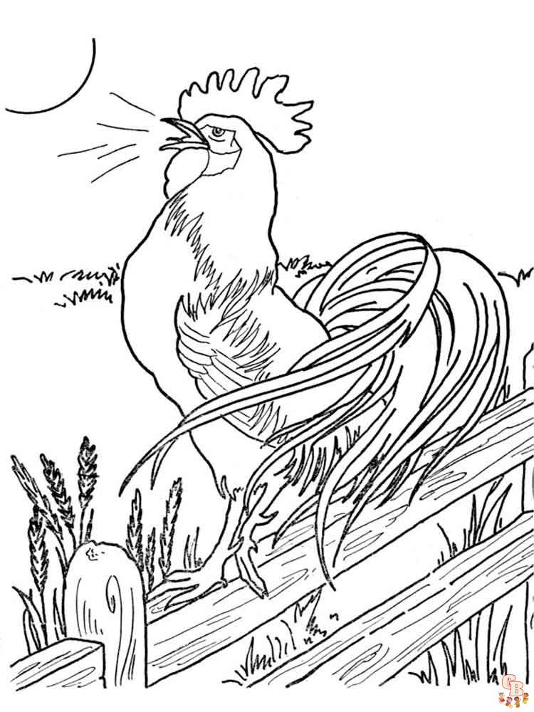 coloriage poulet