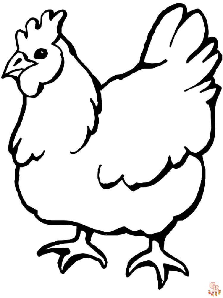 coloriage poulet