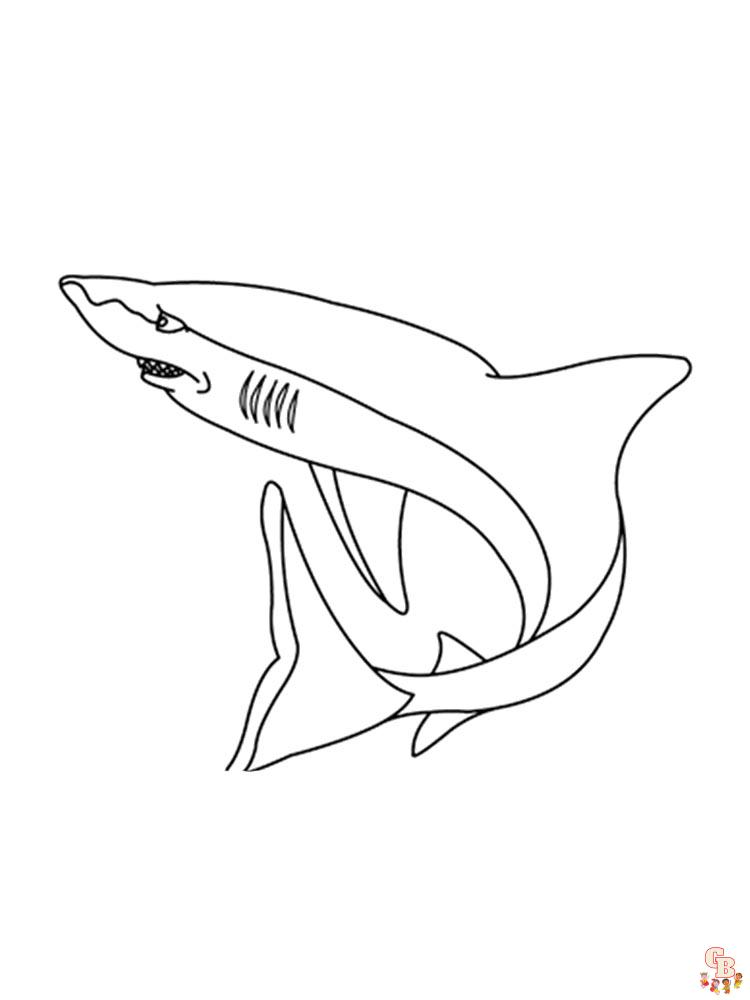 coloriage requins