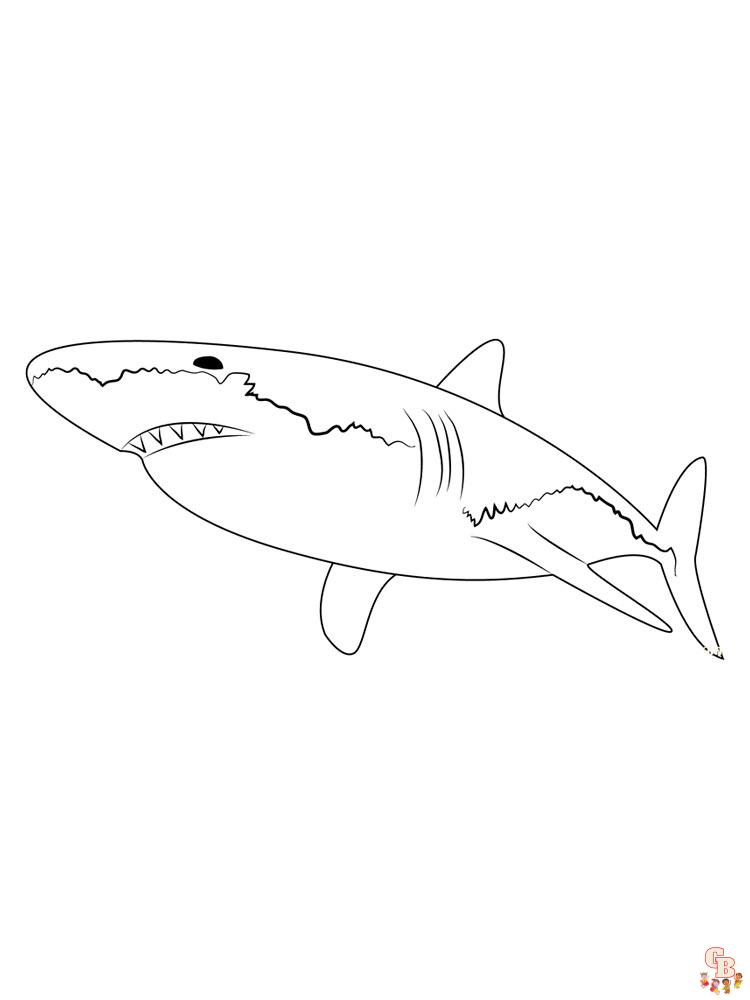 coloriage requins