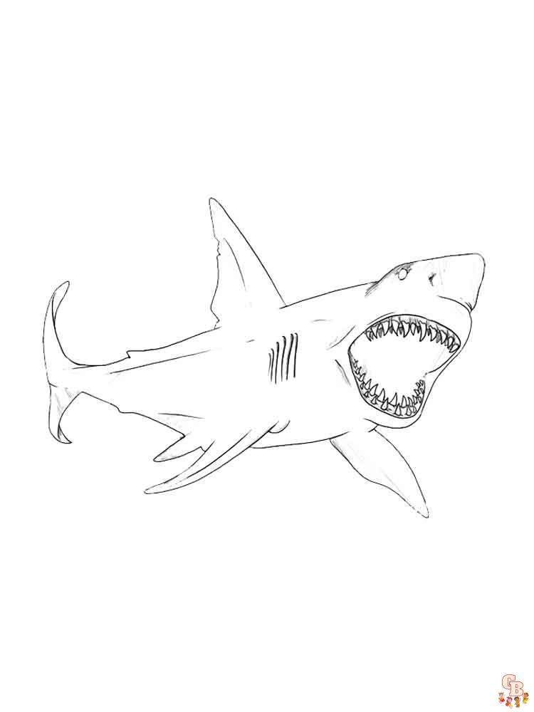 coloriage requins