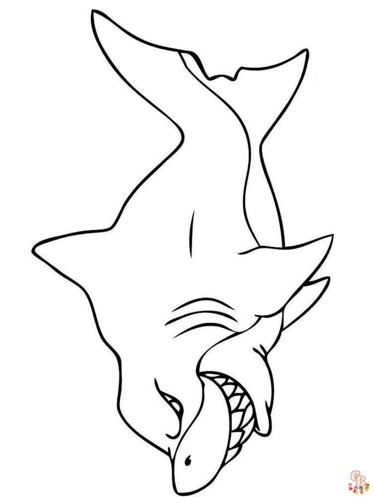 coloriage requins