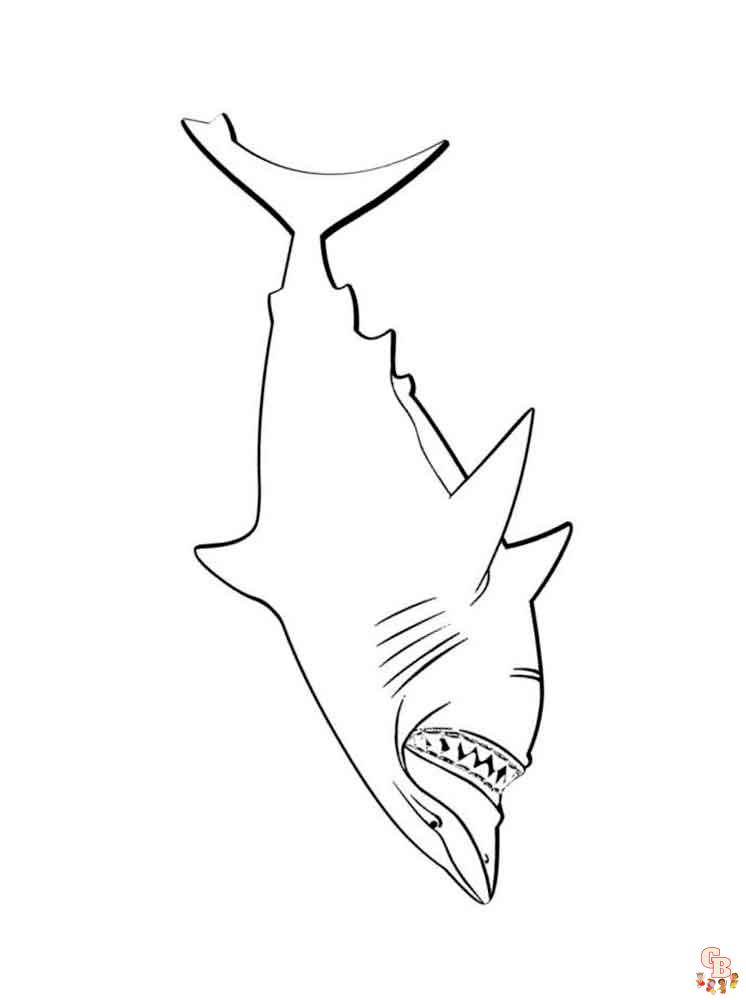 coloriage requins