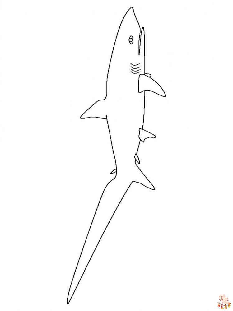 coloriage requins