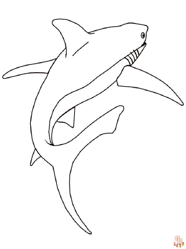 coloriage requins