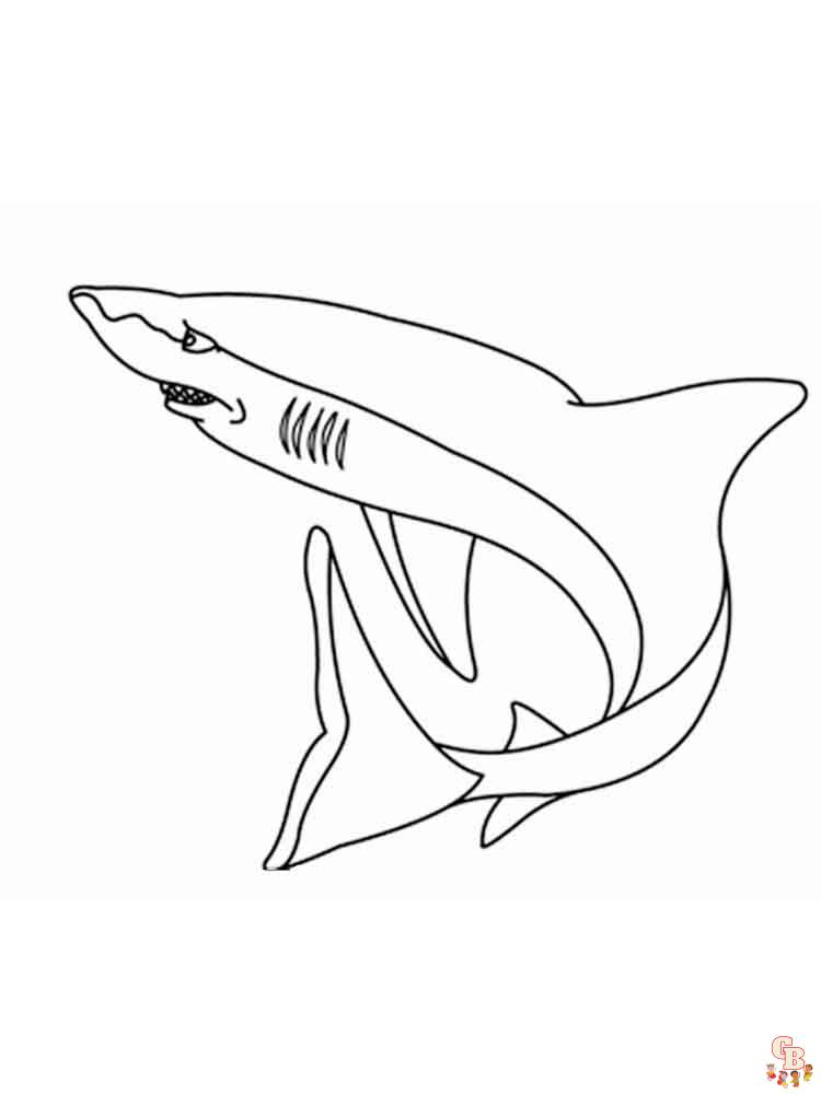 coloriage requins