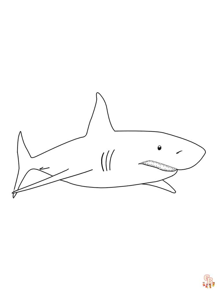 coloriage requins