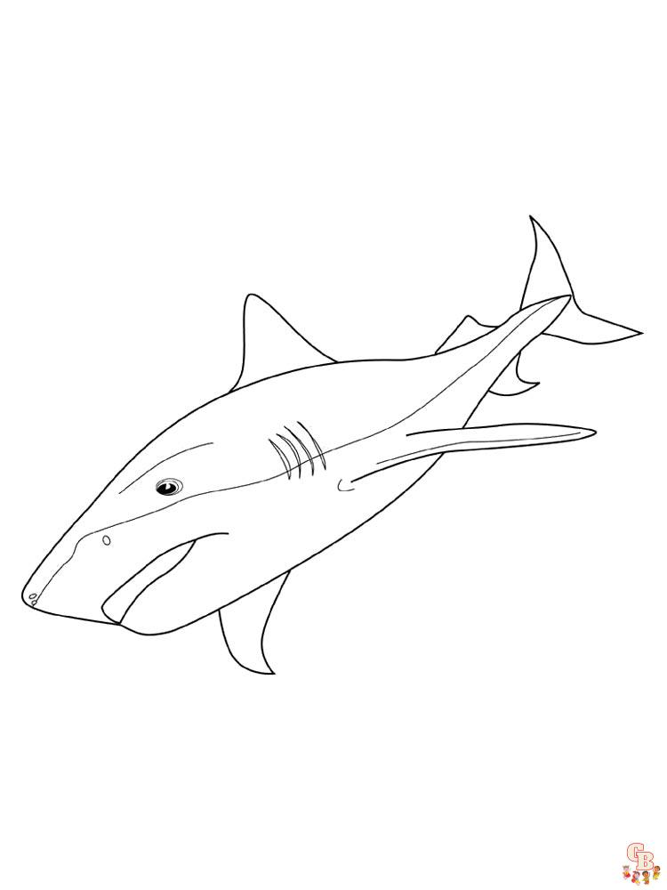 coloriage requins