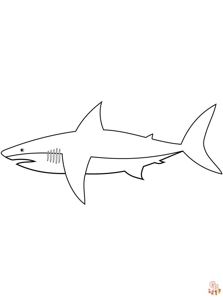 coloriage requins