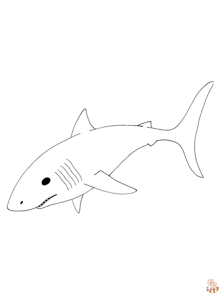 coloriage requins