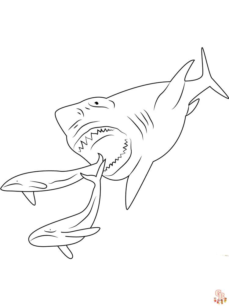 coloriage requins