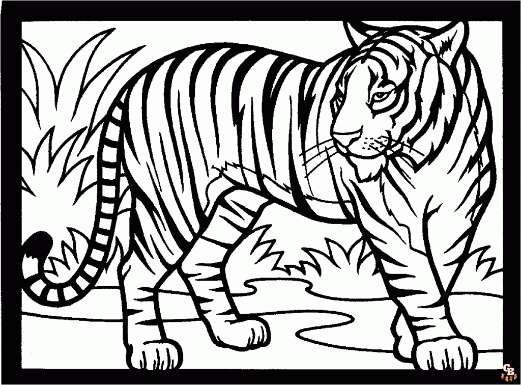 coloriage tigres