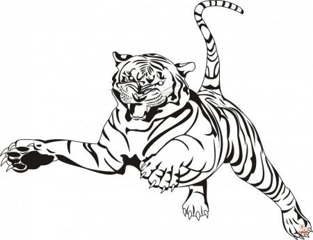 coloriage tigres