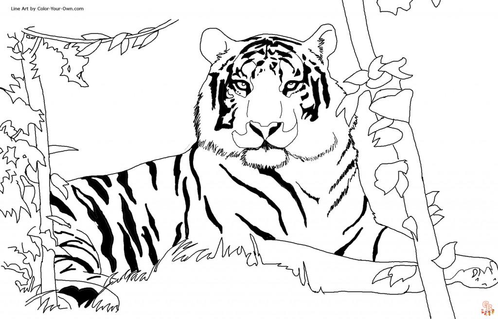 coloriage tigres