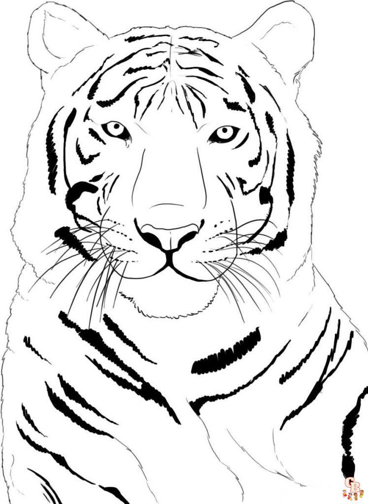 coloriage tigres