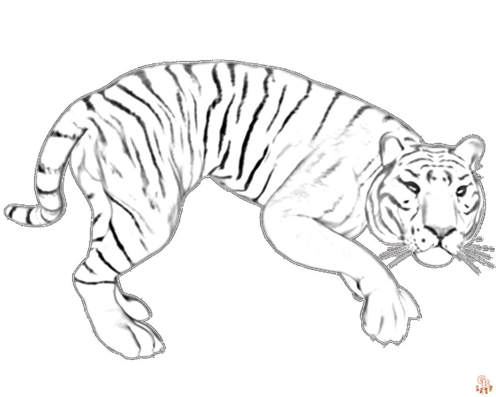 coloriage tigres