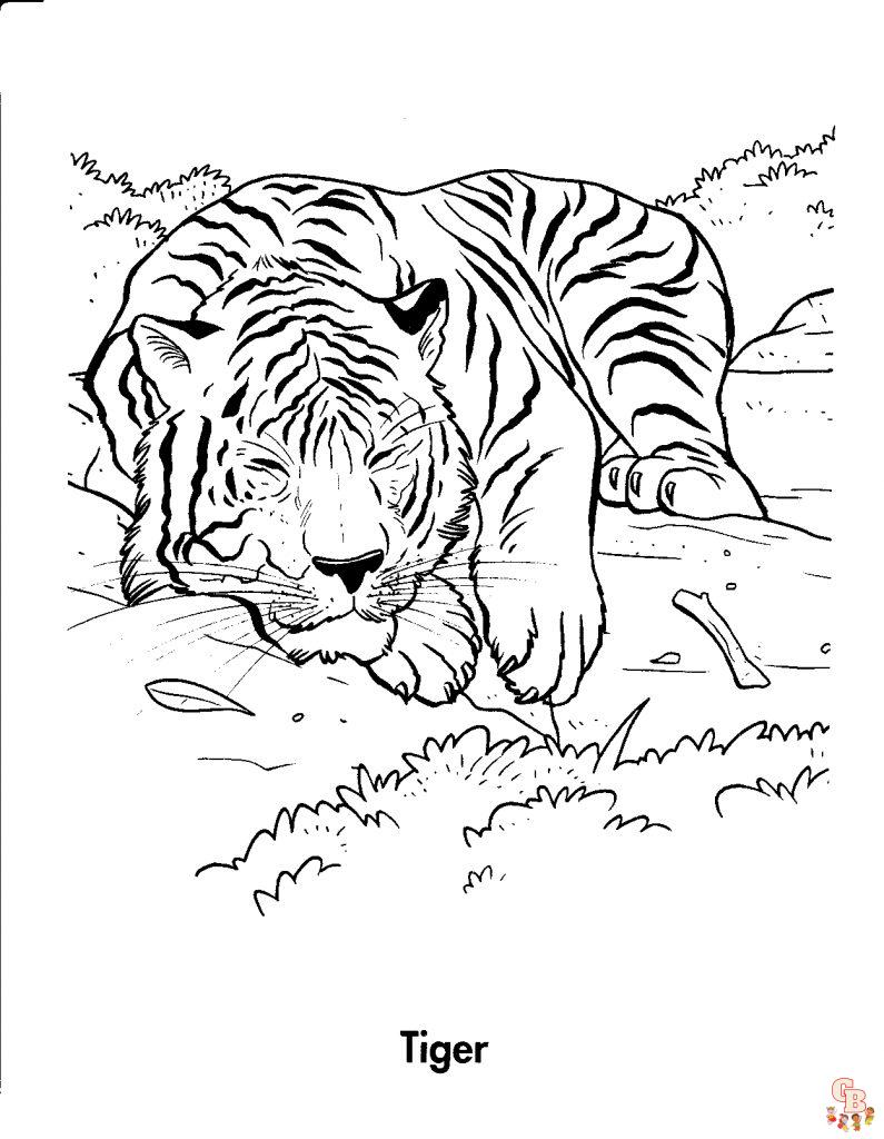 coloriage tigres