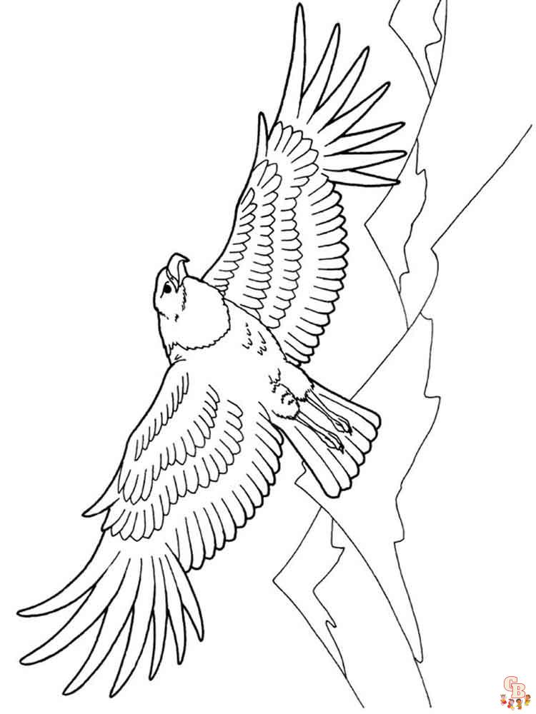 Coloriage Aigle