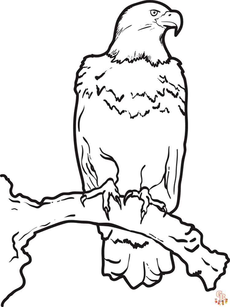 Coloriage Aigle