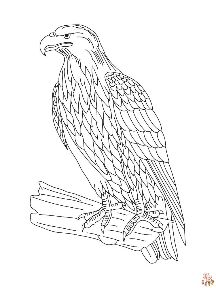 Coloriage Aigle