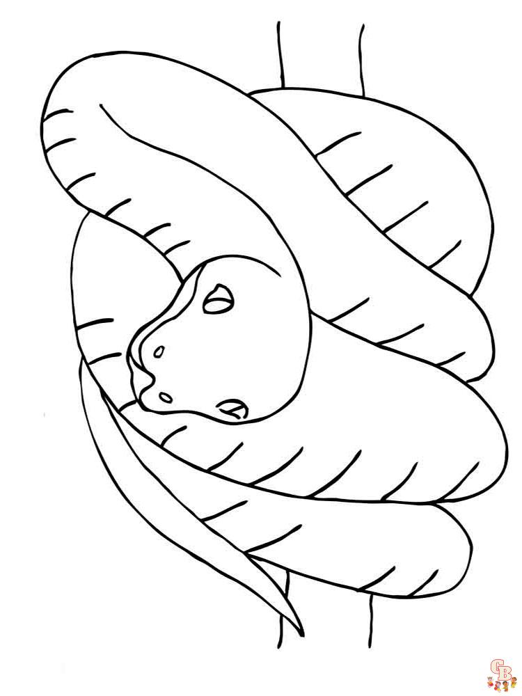 Coloriage serpent