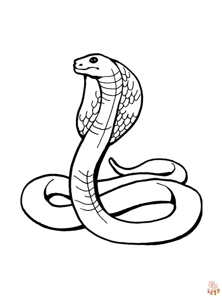 Coloriage serpent