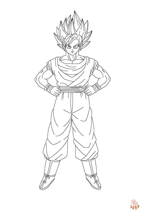 coloriage Sangoku