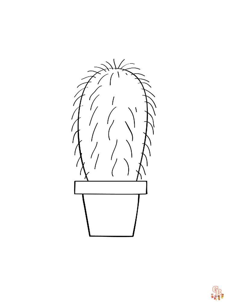 Coloriage Cactus