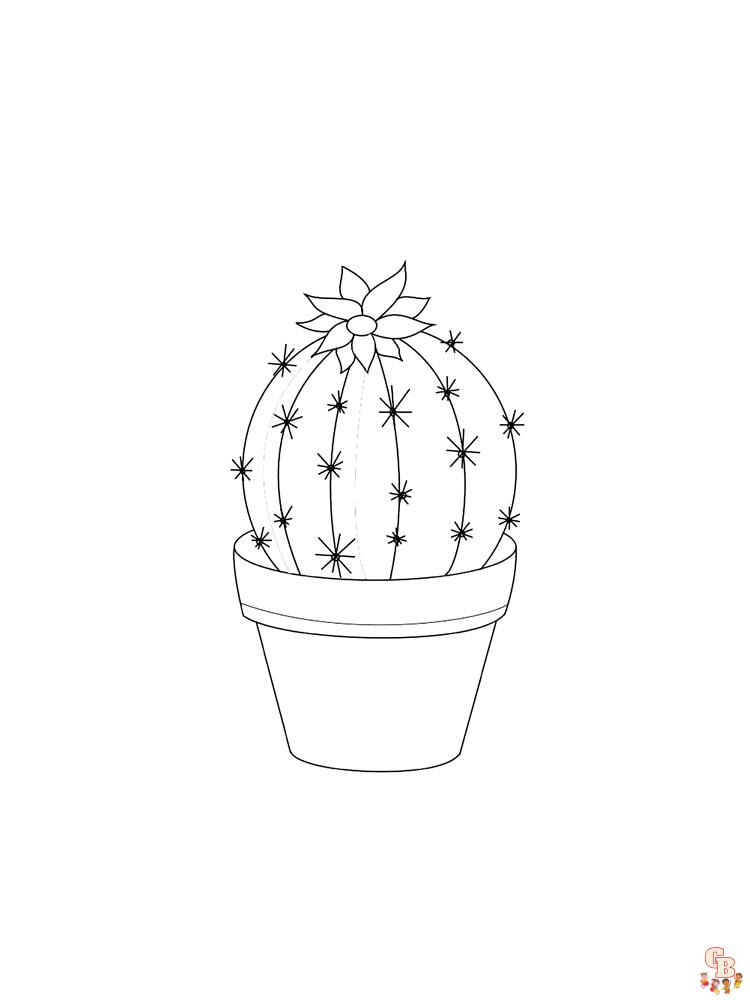 Coloriage Cactus