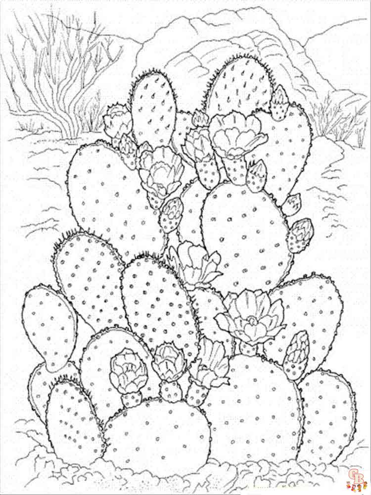 Coloriage Cactus