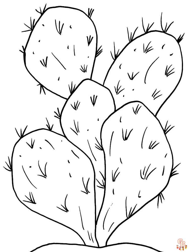 Coloriage Cactus