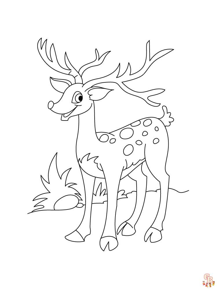 Coloriage Cerf