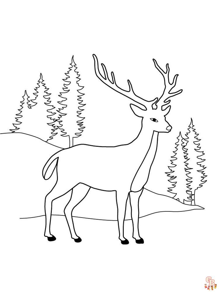 Coloriage Cerf