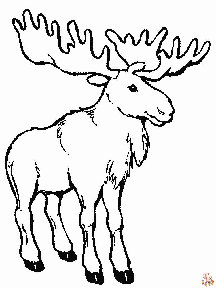 Coloriage Cerf