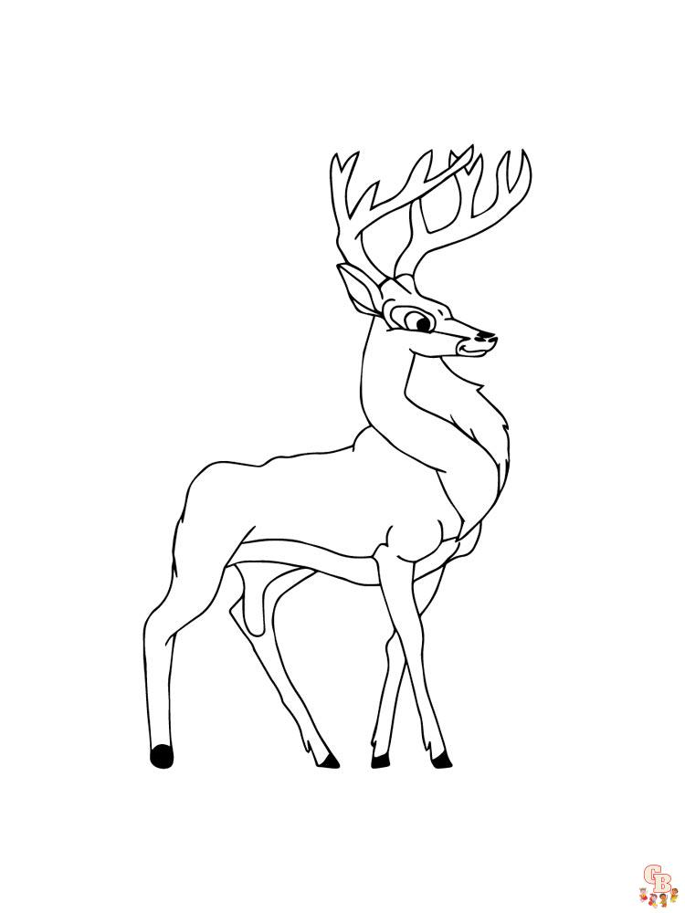 Coloriage Cerf