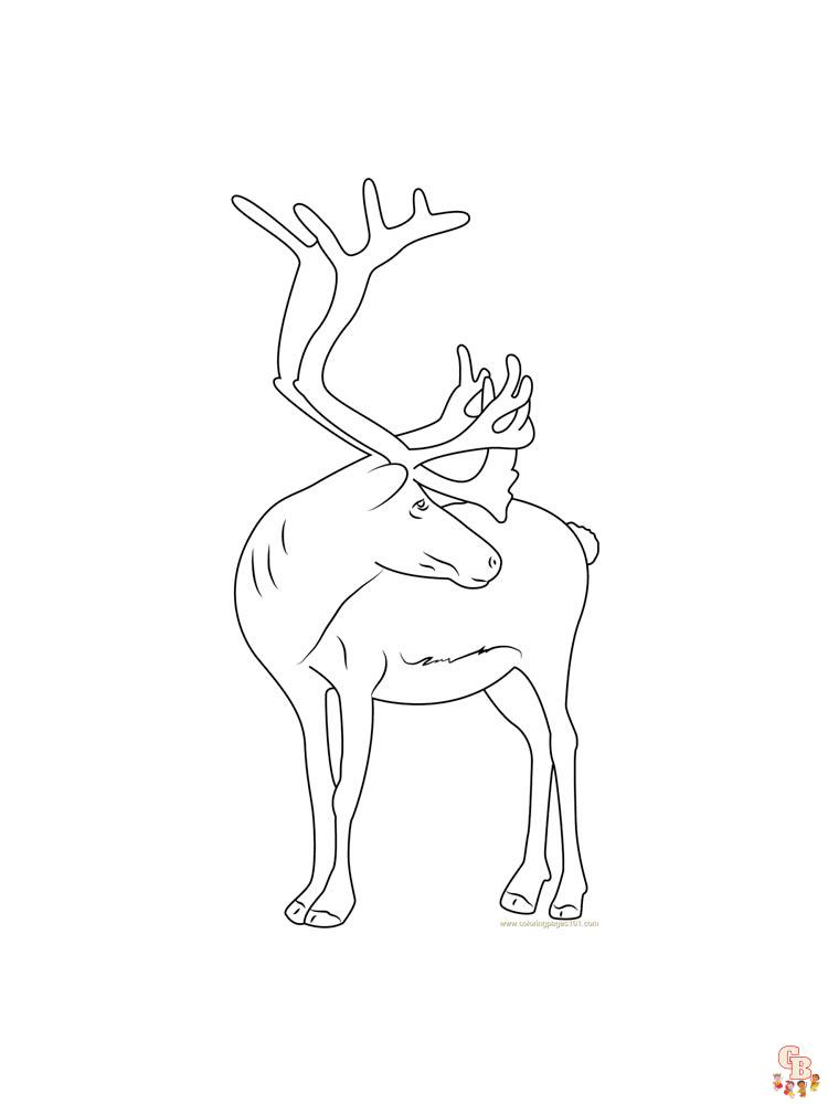 Coloriage Cerf